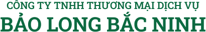 CÔNG TY TNHH THƯƠNG MẠI DỊCH VỤ BẢO LONG BẮC NINH